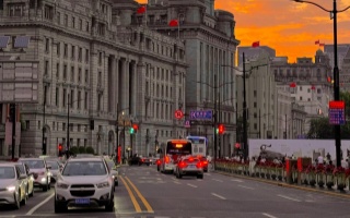 上海品茶工作室预约指南：2025年高人气茶馆避坑全攻略！